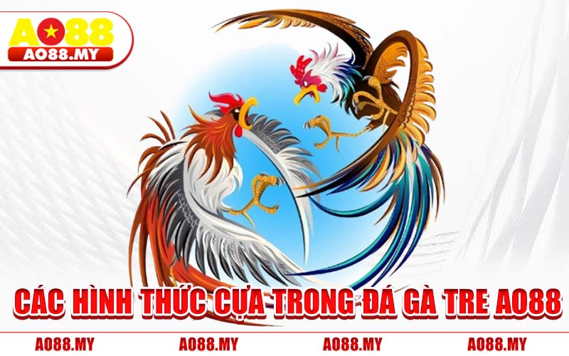 Các Hình Thức Cựa Trong Đá Gà Tre AO88