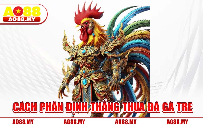 Cách Phân Định Thắng Thua Đá Gà Tre