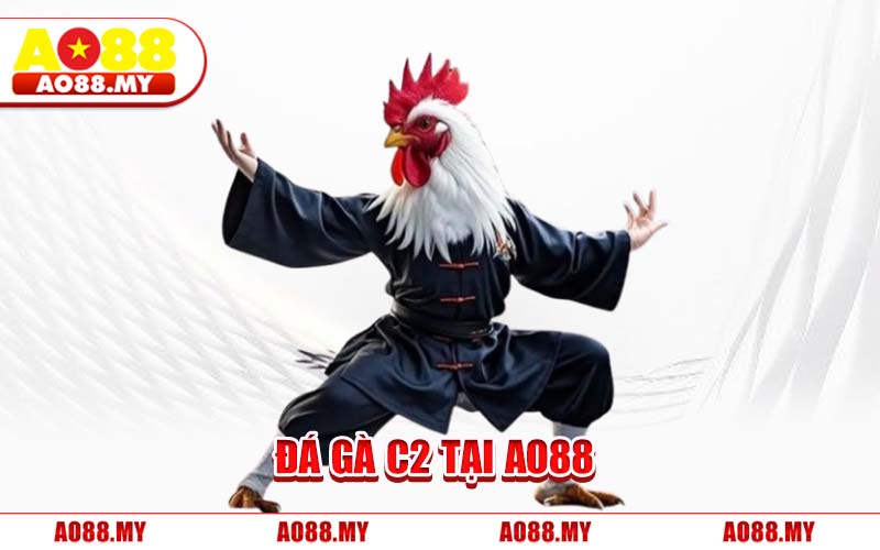 Đá Gà C2 Tại AO88