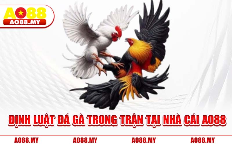 Định Luật Đá Gà Trong Trận Tại Nhà Cái AO88