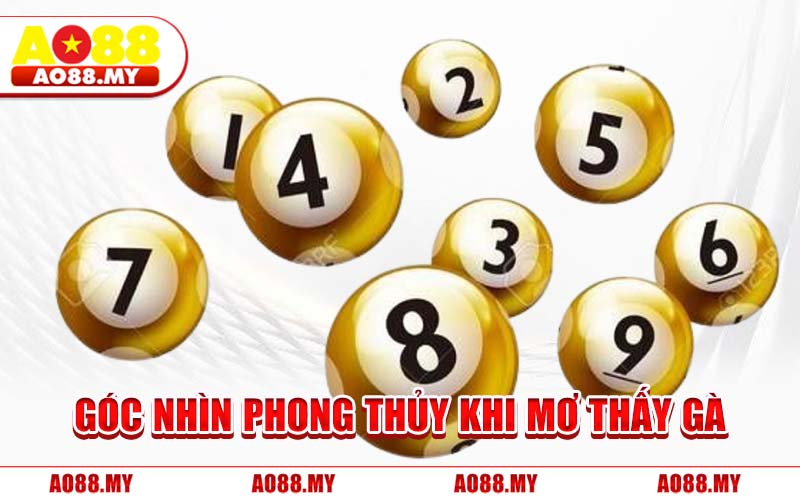 Góc Nhìn Phong Thủy Khi Mơ Thấy Gà