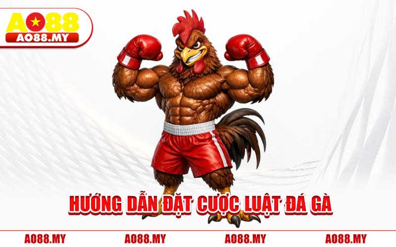 Hướng Dẫn Đặt Cược Luật Đá Gà