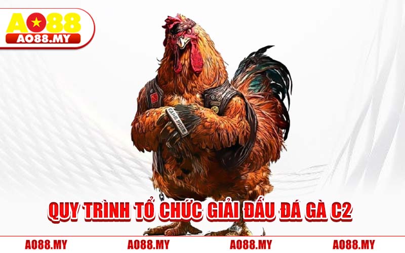Quy Trình Tổ Chức Giải Đấu Đá Gà C2