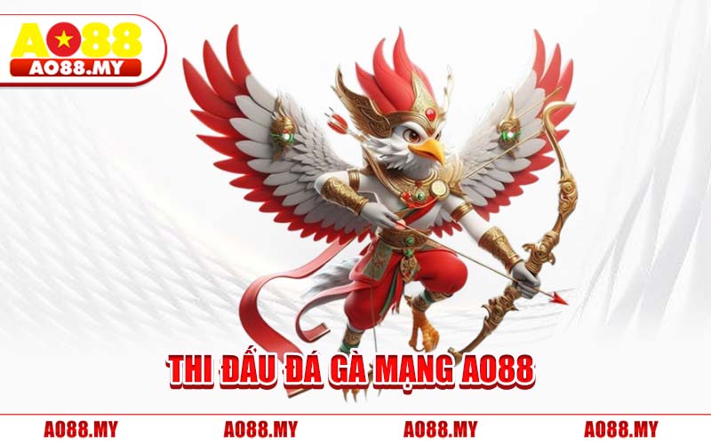Thi Đấu Đá Gà Mạng AO88