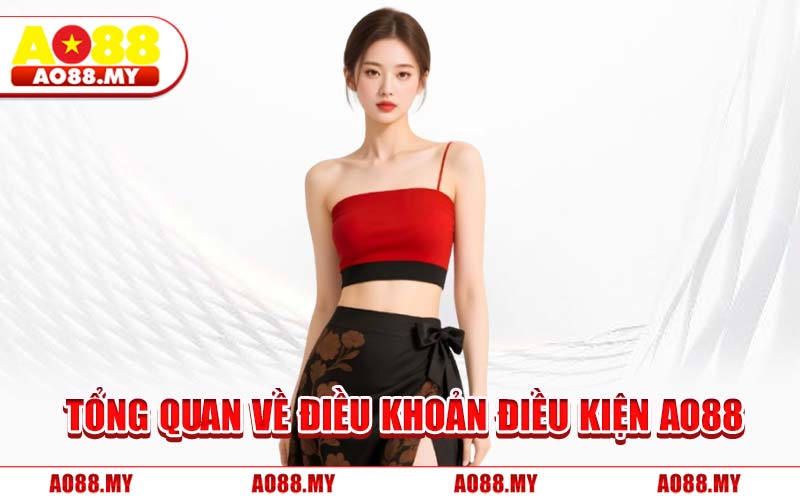 Tổng Quan Về Điều Khoản Điều Kiện AO88