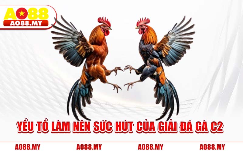 Yếu Tố Làm Nên Sức Hút Của Giải Đá Gà C2